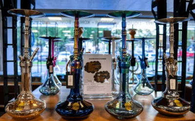 Why Wholesale Hookah Businesses Should Stock Up on Premium Hookah Brands